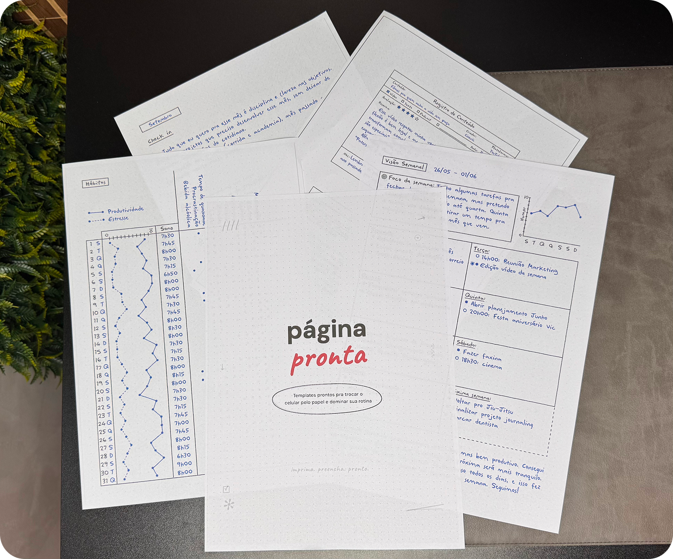 Páginas Prontas — todos os templates