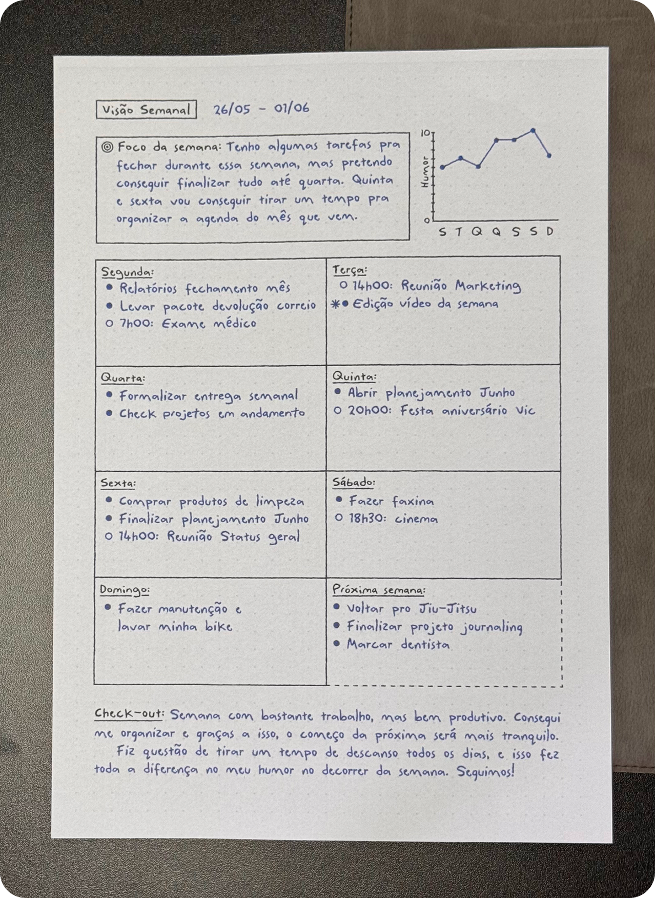 Visão Semanal — Páginas Prontas